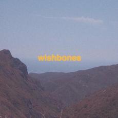Wishbones mp3 Single by Aurora View