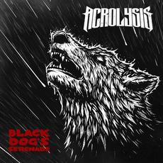 Black Dog's Serenade mp3 Album by Acrolysis