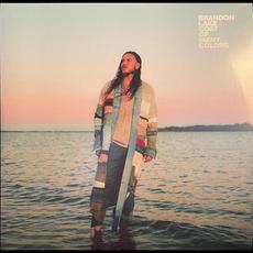 COAT OF MANY COLORS mp3 Album by Brandon Lake
