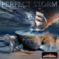Perfect Storm mp3 Album by White Heat