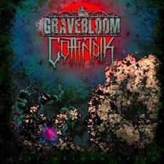 Coffinbloom Split mp3 Album by Gravebloom