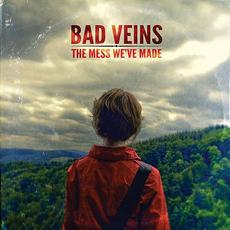The Mess We've Made mp3 Album by Bad Veins