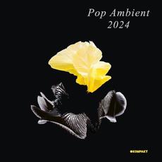 Pop Ambient 2024 mp3 Compilation by Various Artists