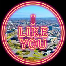 I Like You mp3 Single by DC Gore
