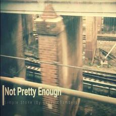 Not Pretty Enough mp3 Single by Simple Stone