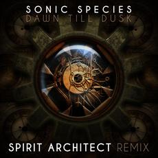 Dawn Till Dusk (Spirit Architect remix) mp3 Single by Sonic Species