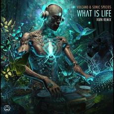 What Is Life (Ikøn remix) mp3 Single by Sonic Species