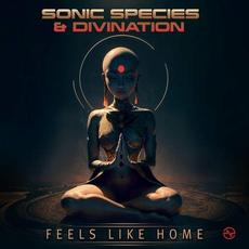 Feels Like Home mp3 Single by Sonic Species