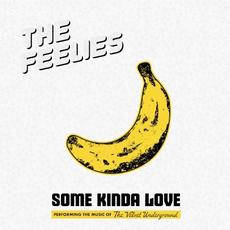 Some Kinda Love: Performing the Music of The Velvet Underground mp3 Live by The Feelies