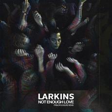 Not Enough Love (Principleasure Remix) mp3 Single by Larkins