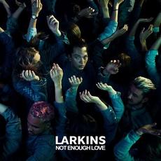 Not Enough Love mp3 Single by Larkins