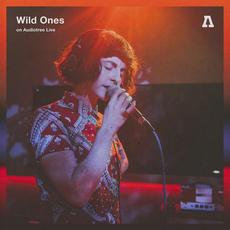 Wild Ones on Audiotree Live mp3 Live by Wild Ones