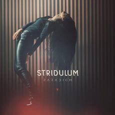 Paradigm mp3 Album by Stridulum