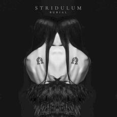 Burial mp3 Album by Stridulum