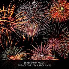 Serendipity Muzik: End of the Year Reca mp3 Compilation by Various Artists