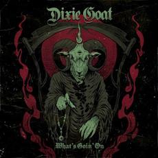 What’s Goin’ On mp3 Single by Dixie Goat