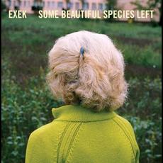 Some Beautiful Species Left mp3 Album by Exek