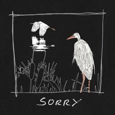 Sorry mp3 Single by Tors