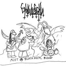 Not A Black Metal Band mp3 Album by Enbilulugugal