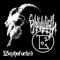 Baphofucked mp3 Artist Compilation by Enbilulugugal