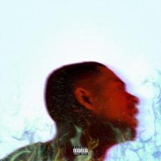 Platinum Fire (Deluxe Edition) mp3 Album by Arin Ray