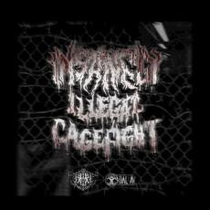 Insanely Illegal Cage Fight mp3 Single by Dal Av
