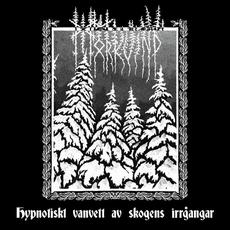 Hypnotiskt vanvett av skogens irrgångar mp3 Album by Mörkvind