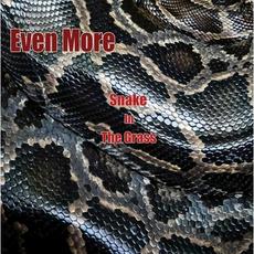 Snake In The Grass mp3 Single by Even More