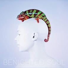 Cluster B mp3 Album by Benighted Soul