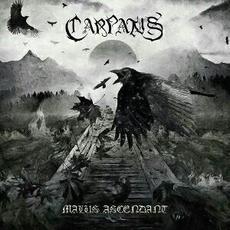 Malus Ascendant mp3 Album by Carpatus