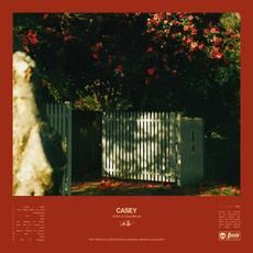 How To Disappear mp3 Album by Casey