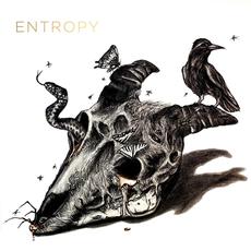 Entropy mp3 Album by Seeking Tragedy