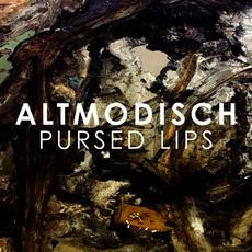 Pursed Lips (Radio Edit) mp3 Single by Altmodisch