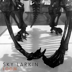 Loom mp3 Single by Sky Larkin