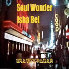 Gravity Radar mp3 Single by Soul Wonder, Isha Bel