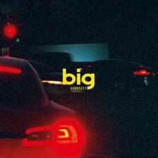 Big mp3 Album by Hoorsees