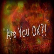 Are You OK?! mp3 Album by Craig Soderberg