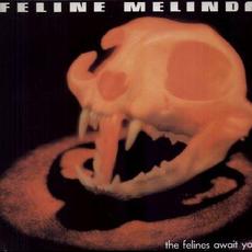 The Felines Await You mp3 Album by Feline Melinda