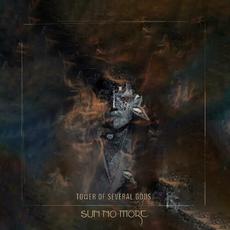 Tower of Several Gods mp3 Album by Sun No More