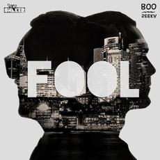 Fool mp3 Single by BOO SEEKA