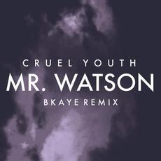 Mr. Watson (BKAYE remix) mp3 Single by Cruel Youth