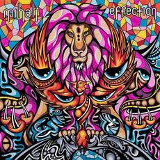 Effection mp3 Album by Mihali