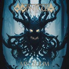 Mycelium mp3 Album by Manticora