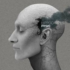 Hippocampus mp3 Album by Behrooz Paygan