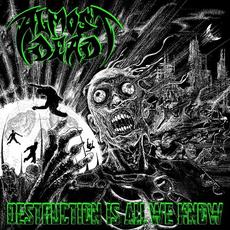 Destruction Is All We Know mp3 Album by Almost Dead