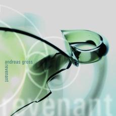 Revenant mp3 Album by Andreas Gross