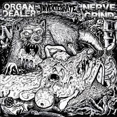 Organ Dealer / Nerve Grind / Invertebrate mp3 Album by Organ Dealer