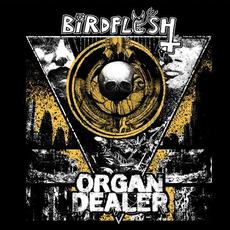 Birdflesh & Organ Dealer mp3 Album by Organ Dealer