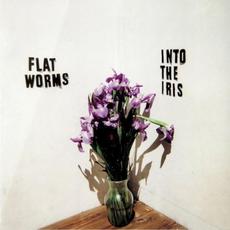 Into the Iris mp3 Album by Flat Worms