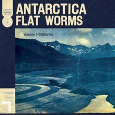Antarctica mp3 Album by Flat Worms